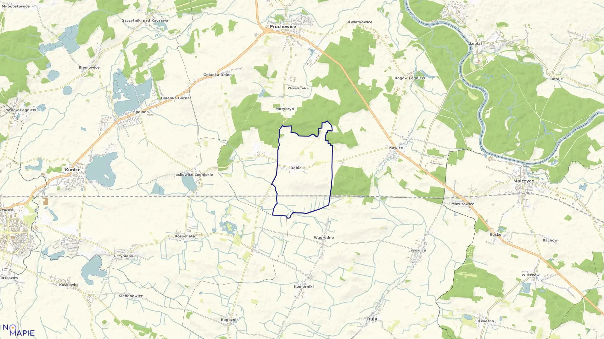 Mapa obrębu DĄBIE w gminie Prochowice